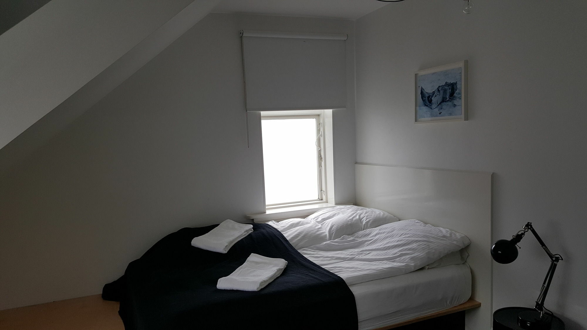 Luna Apartments - Laugavegur 37 Reykjavík Zewnętrze zdjęcie